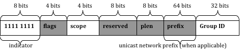 IPv6 Multicast Address Format